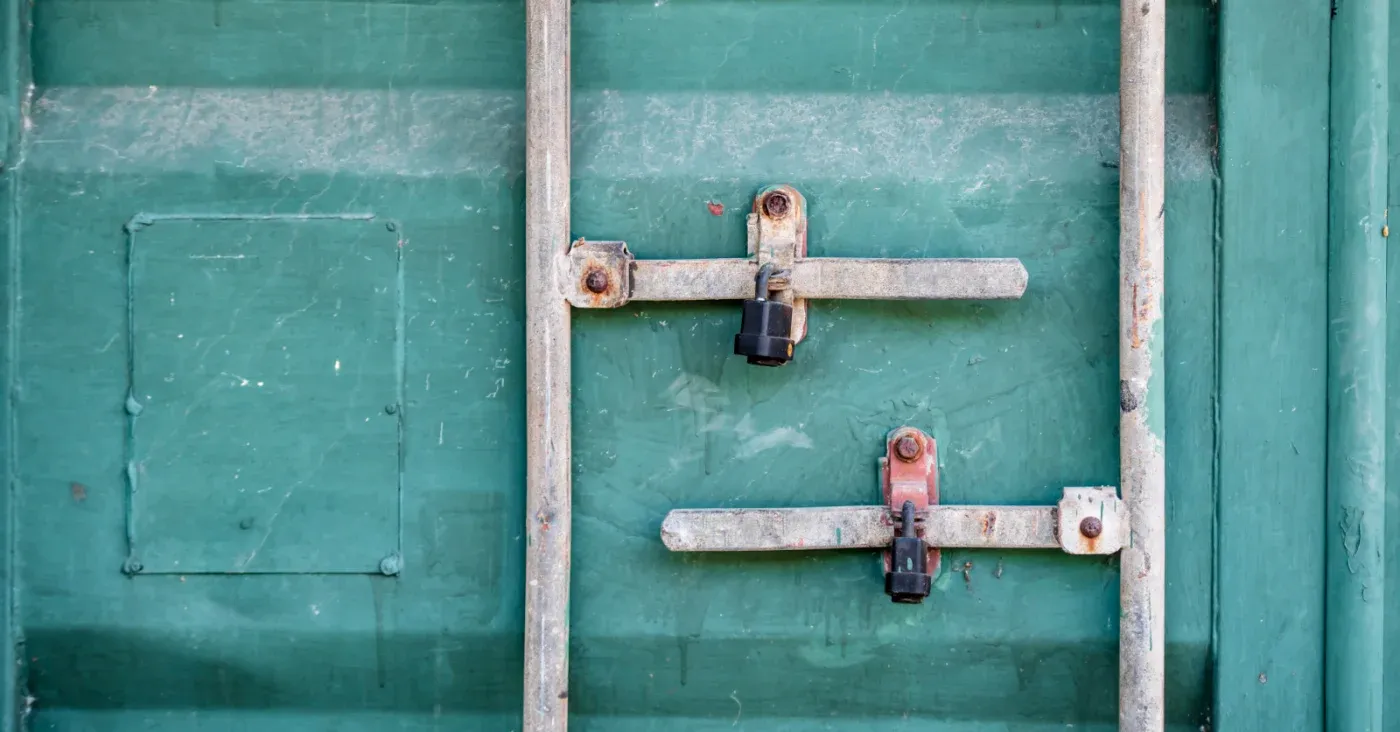 locks on metal bars protecting door