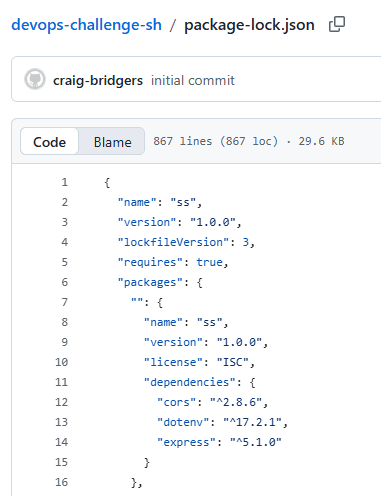 Figure 6. Clean dependency list in package-lock.json file