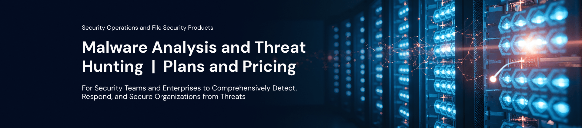 Malware Analysis