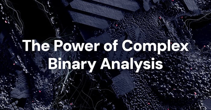 Blog-The-Power-of-Complex-Binary-Analysis