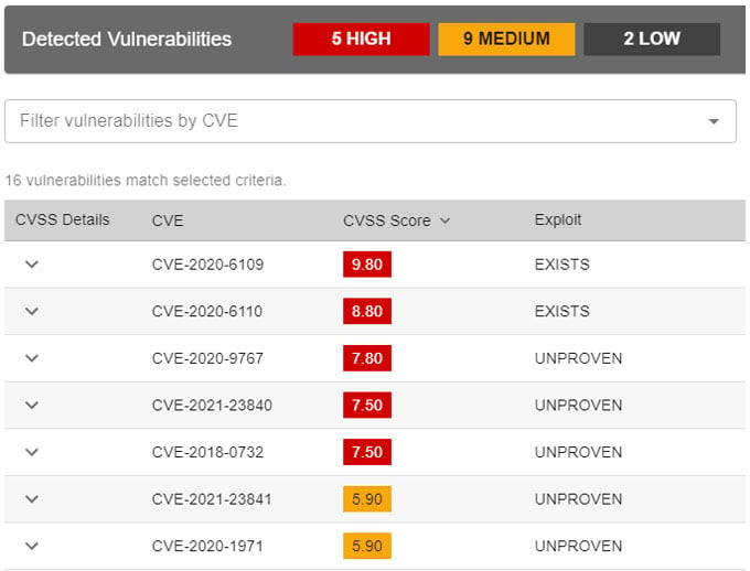 Vulnerability information in SDLC report