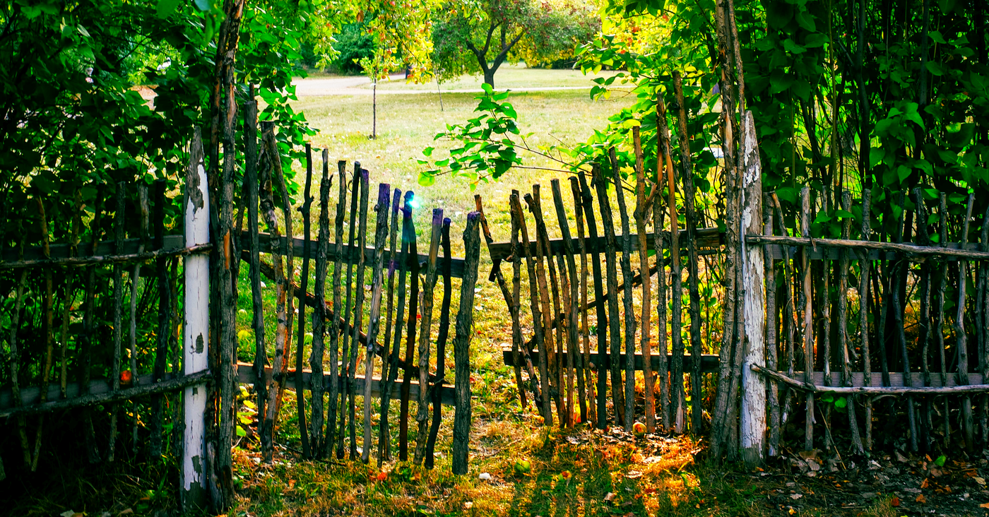 bgp--kody-goodson--unsplash