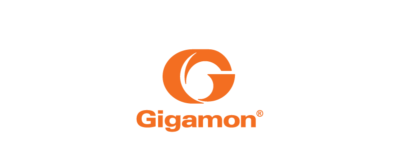 Gigamon